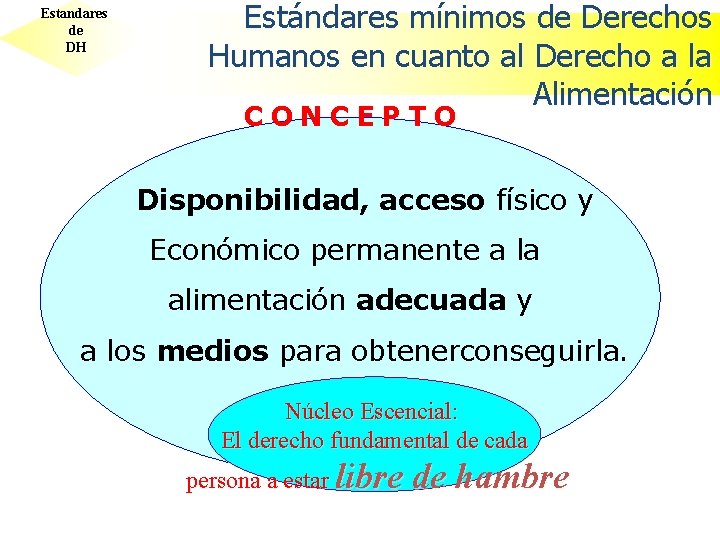 Estandares de DH Estándares mínimos de Derechos Humanos en cuanto al Derecho a la