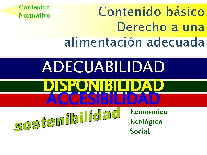 Contenido Normativo Contenido básico Derecho a una alimentación adecuada ADECUABILIDAD DISPONIBILIDAD ACCESIBILIDAD Económica Ecológica
