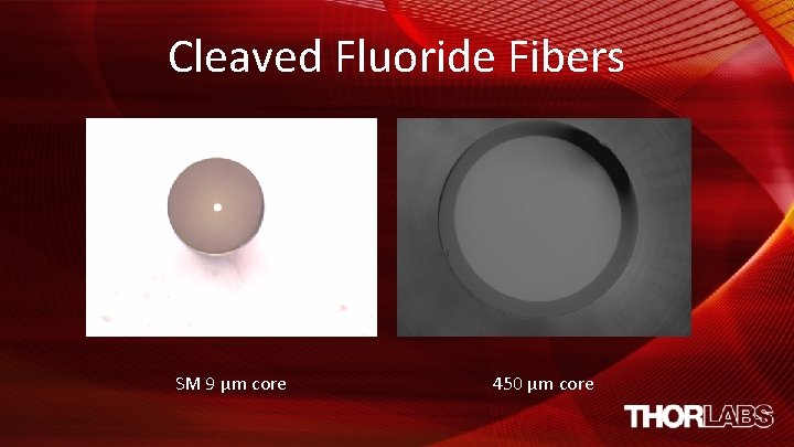 Cleaved Fluoride Fibers SM 9 µm core 450 µm core 