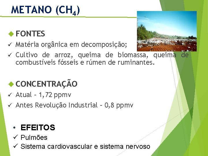 METANO (CH 4) FONTES Matéria orgânica em decomposição; ü Cultivo de arroz, queima de