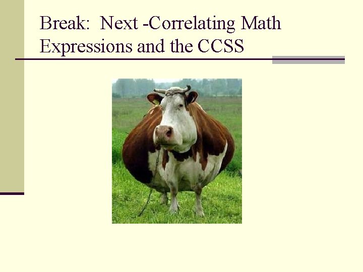 Break: Next -Correlating Math Expressions and the CCSS 