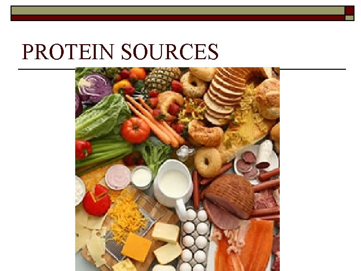 PROTEIN SOURCES 