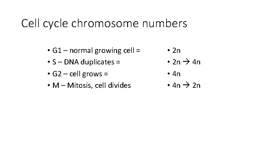 Cell cycle chromosome numbers • G 1 – normal growing cell = • S Cell cycle chromosome numbers • G 1 – normal growing cell = • S