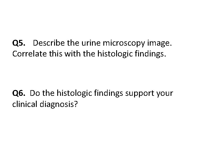 Q 5. Describe the urine microscopy image. Correlate this with the histologic findings. Q