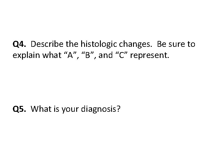 Q 4. Describe the histologic changes. Be sure to explain what “A”, “B”, and