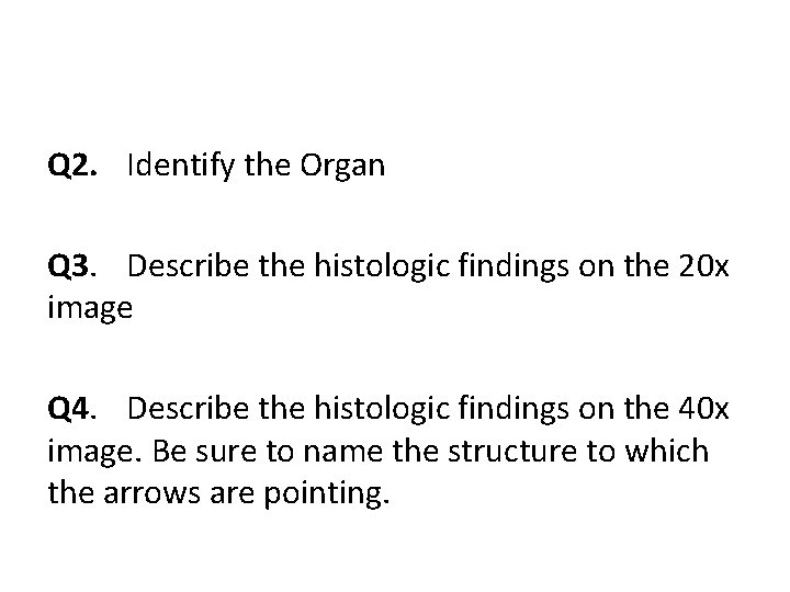 Q 2. Identify the Organ Q 3. Describe the histologic findings on the 20