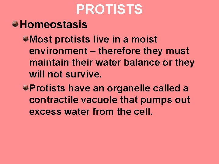 PROTISTS Homeostasis Most protists live in a moist environment – therefore they must maintain