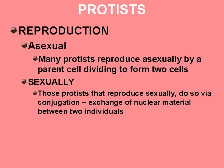 PROTISTS REPRODUCTION Asexual Many protists reproduce asexually by a parent cell dividing to form