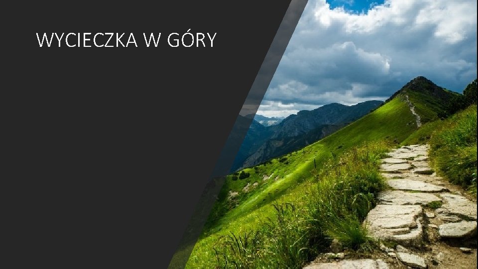 WYCIECZKA W GÓRY 