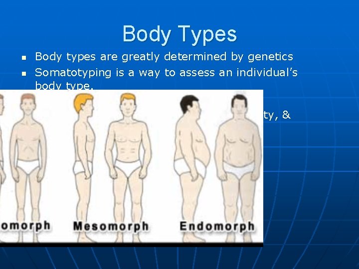 Body Types n n Body types are greatly determined by genetics Somatotyping is a