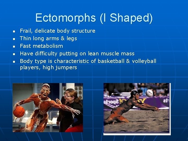 Ectomorphs (I Shaped) n n n Frail, delicate body structure Thin long arms &