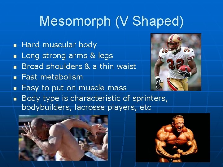 Mesomorph (V Shaped) n n n Hard muscular body Long strong arms & legs