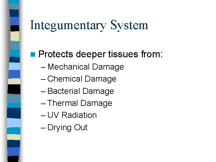 Integumentary System n Protects deeper tissues from: – Mechanical Damage – Chemical Damage –