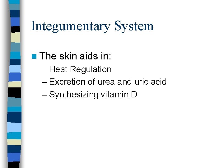 Integumentary System n The skin aids in: – Heat Regulation – Excretion of urea