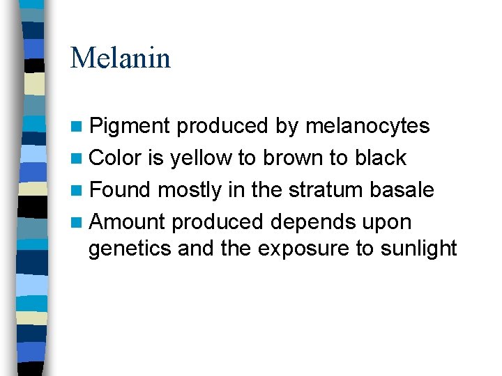 Melanin n Pigment produced by melanocytes n Color is yellow to brown to black