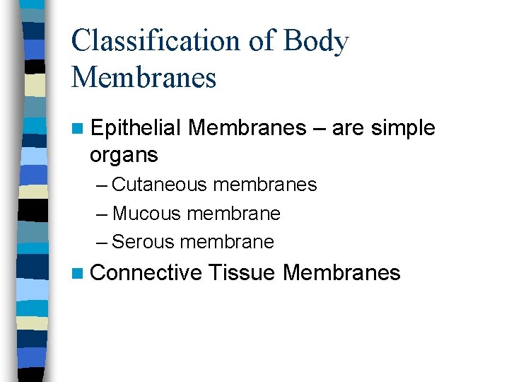 Classification of Body Membranes n Epithelial Membranes – are simple organs – Cutaneous membranes