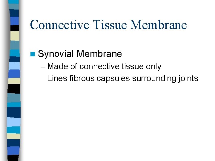 Connective Tissue Membrane n Synovial Membrane – Made of connective tissue only – Lines