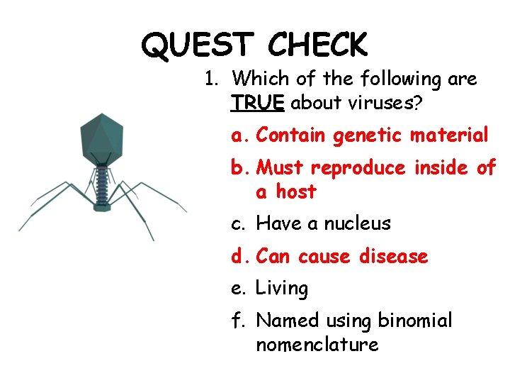VIRUS AND BACTERIA TEST REVIEW sda QUEST CHECK
