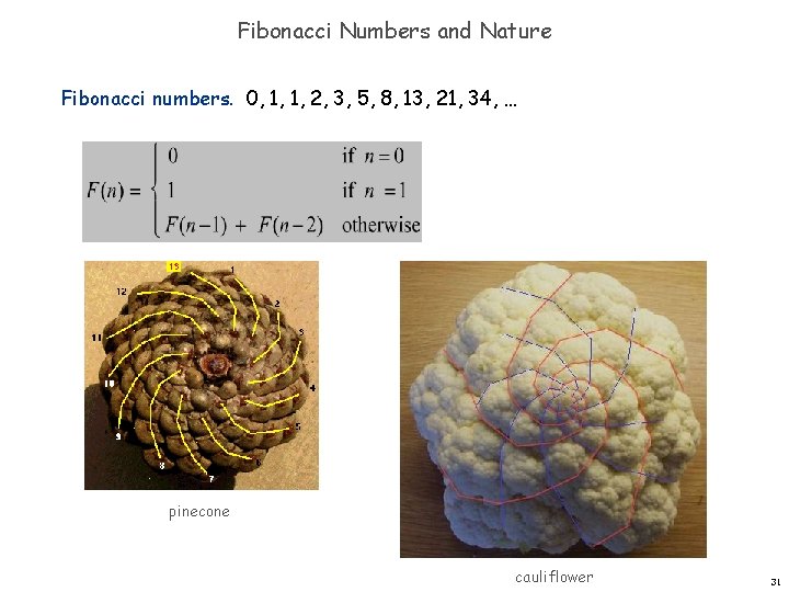 Fibonacci Numbers and Nature Fibonacci numbers. 0, 1, 1, 2, 3, 5, 8, 13,