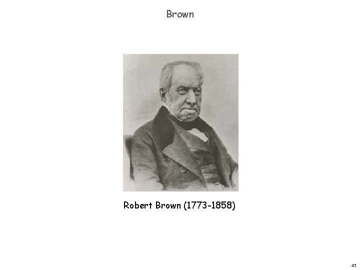 Brown Robert Brown (1773 -1858) 45 