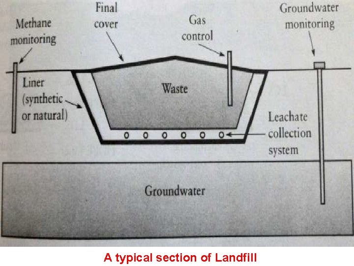 A typical section of Landfill 