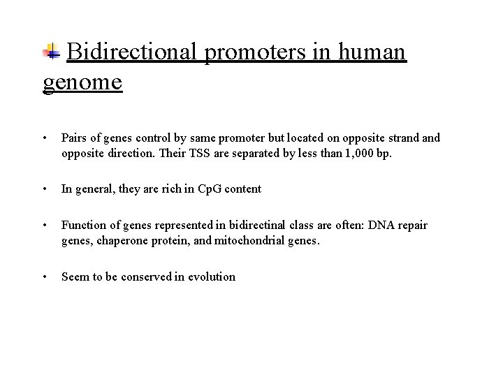 Bidirectional promoters in human genome • Pairs of genes control by same promoter but