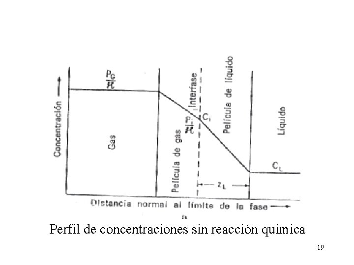 Perfil de concentraciones sin reacción química 19 