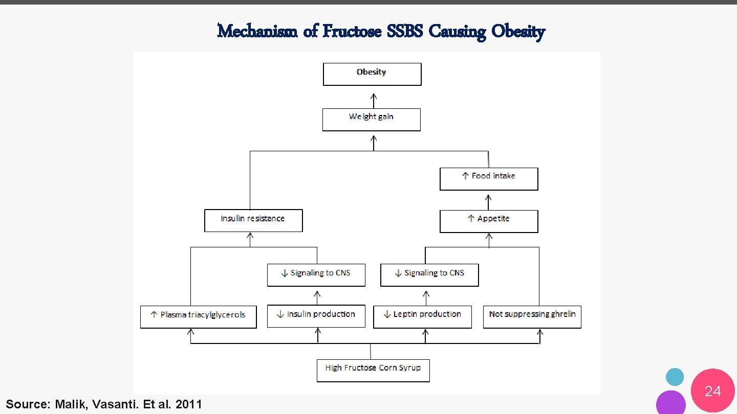 Mechanism of Fructose SSBS Causing Obesity Source: Malik, Vasanti. Et al. 2011 24 