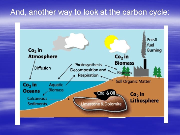 And, another way to look at the carbon cycle: 