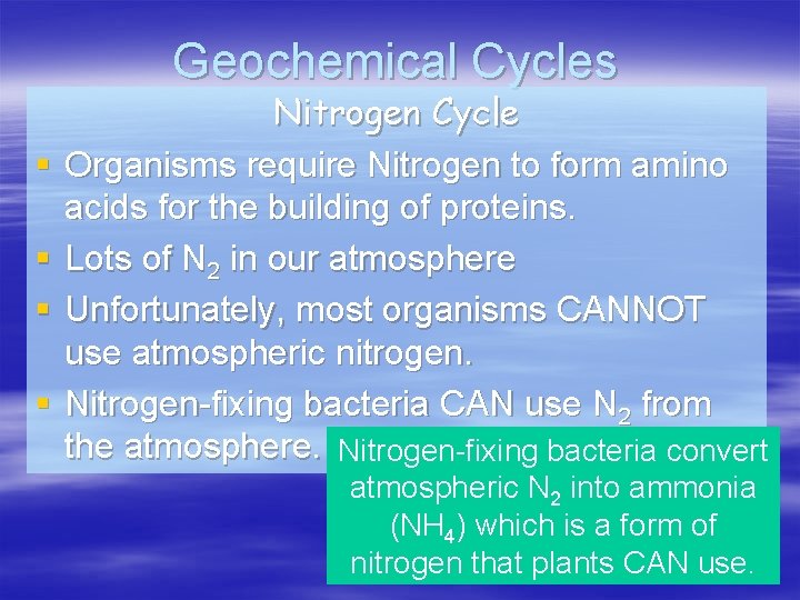 Geochemical Cycles § § Nitrogen Cycle Organisms require Nitrogen to form amino acids for