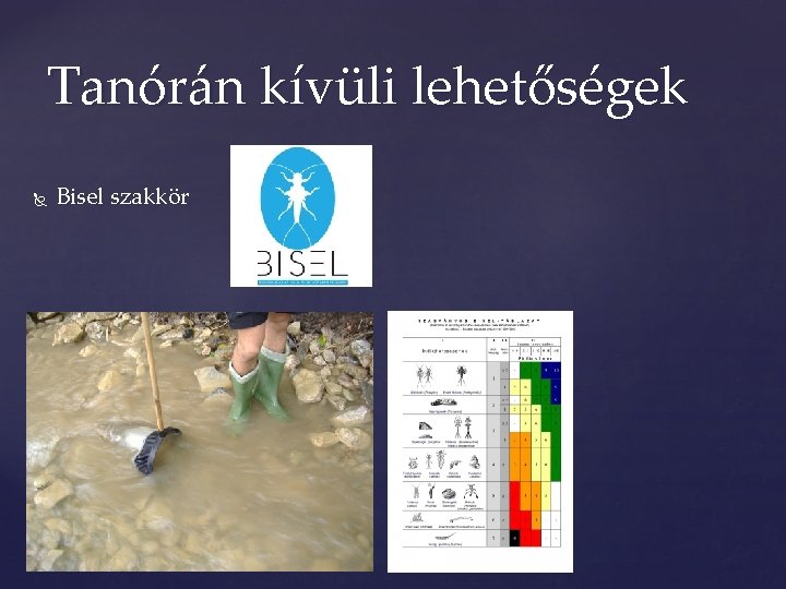 Tanórán kívüli lehetőségek Bisel szakkör Tanórán kívüli lehetőségek Bisel szakkör