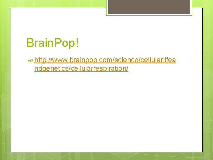 Brain. Pop! http: //www. brainpop. com/science/cellularlifea ndgenetics/cellularrespiration/ 