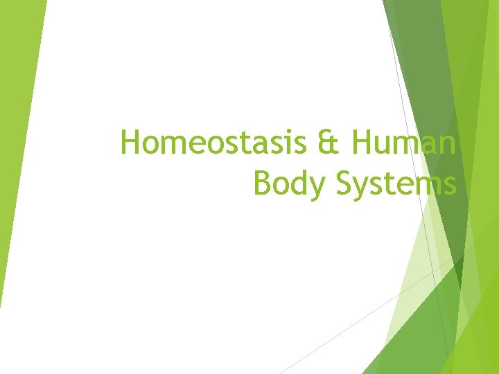 Homeostasis & Human Body Systems 