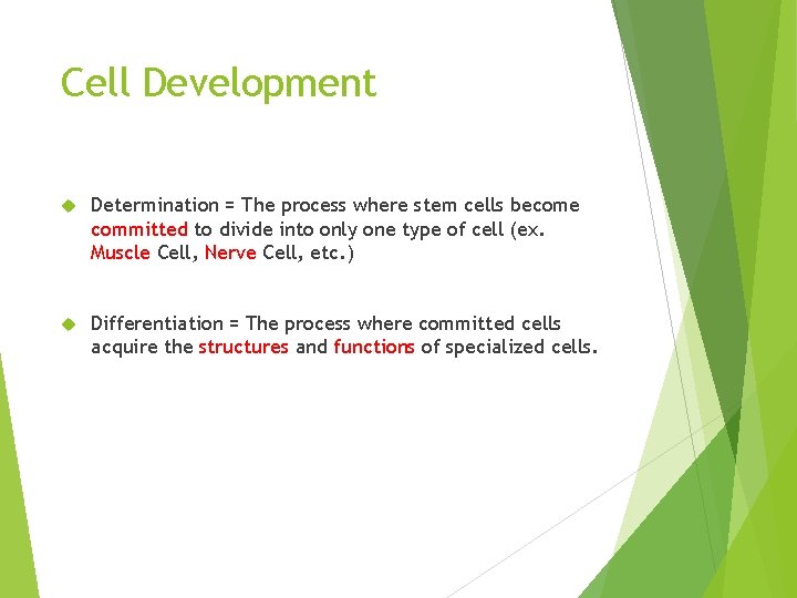Cell Development Determination = The process where stem cells become committed to divide into