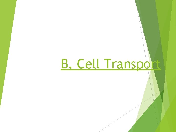 B. Cell Transport 