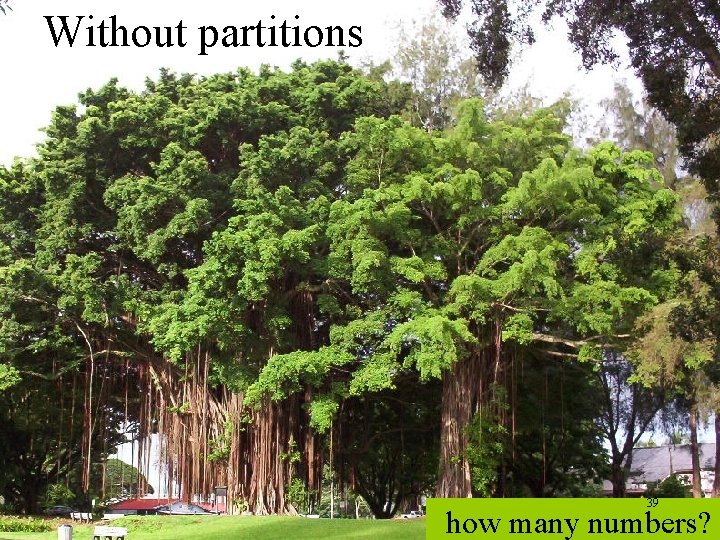 Without partitions 39 how many numbers? 