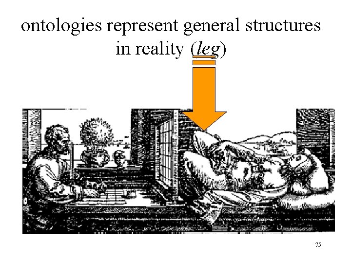 ontologies represent general structures in reality (leg) 75 