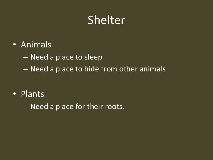 Shelter • Animals – Need a place to sleep – Need a place to
