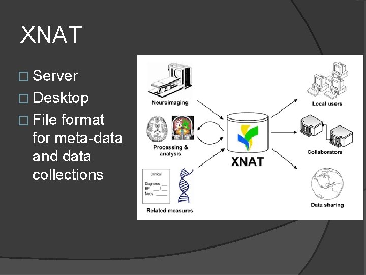 XNAT � Server � Desktop � File format for meta-data and data collections 