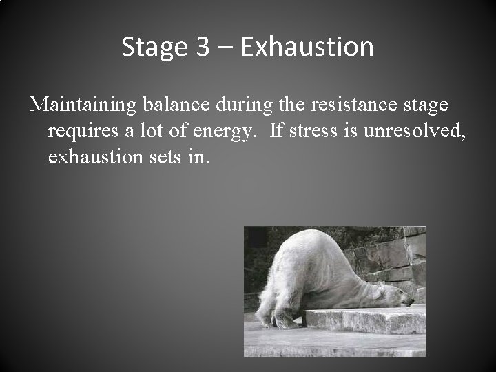 Stage 3 – Exhaustion Maintaining balance during the resistance stage requires a lot of