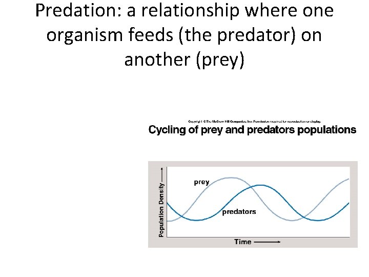 Predation: a relationship where one organism feeds (the predator) on another (prey) 