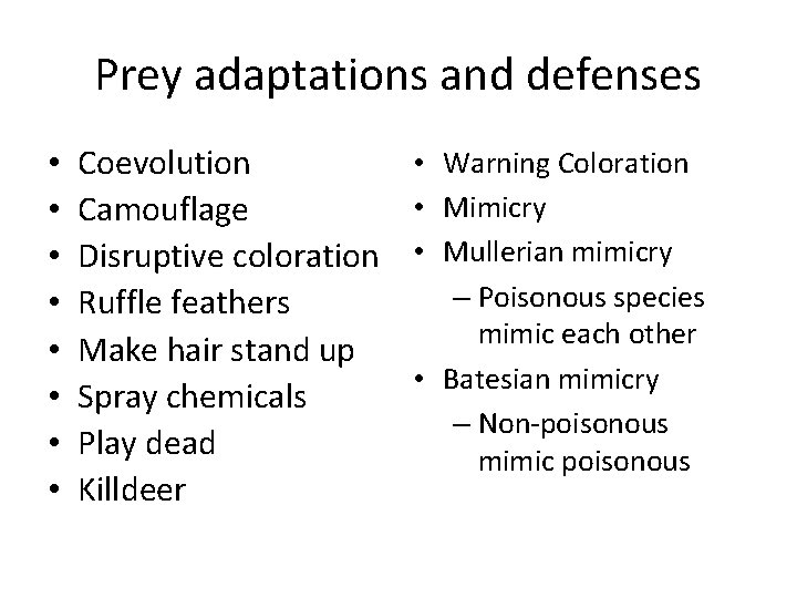 Prey adaptations and defenses • • Coevolution Camouflage Disruptive coloration Ruffle feathers Make hair