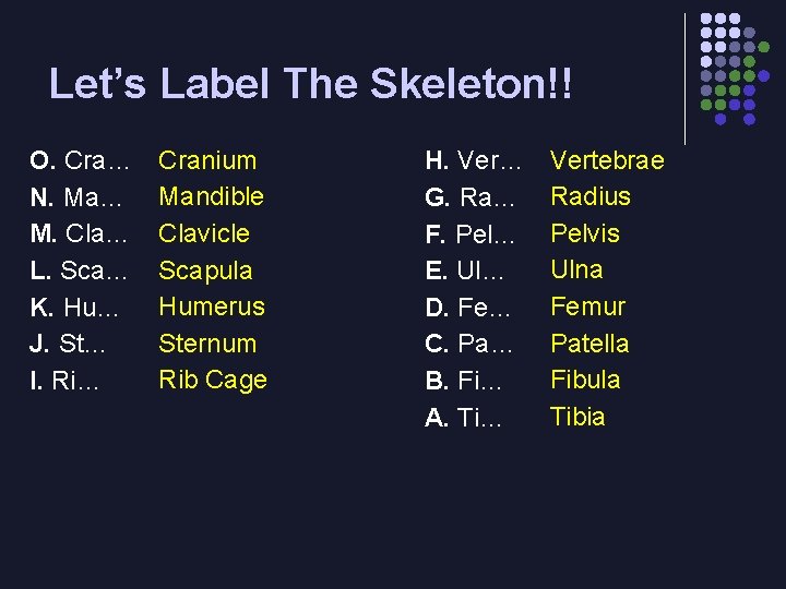 Let’s Label The Skeleton!! O. Cra… N. Ma… M. Cla… L. Sca… K. Hu…