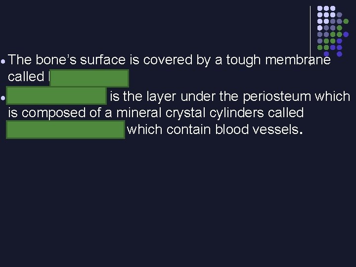 ● The bone’s surface is covered by a tough membrane called Periosteum ● Compact