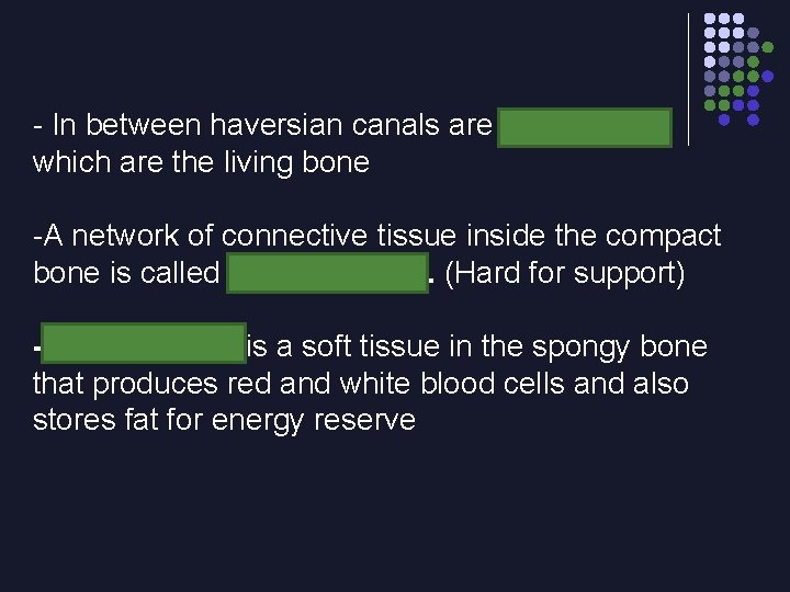 - In between haversian canals are Osteocytes which are the living bone -A network