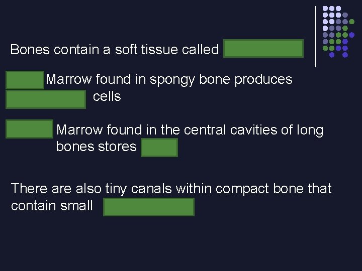 Bones contain a soft tissue called Marrow Red Marrow found in spongy bone produces
