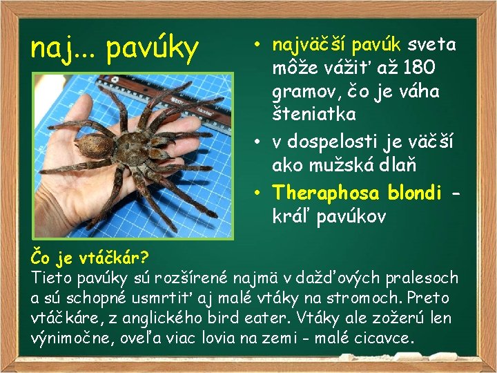 naj. . . pavúky • najväčší pavúk sveta môže vážiť až 180 gramov, čo