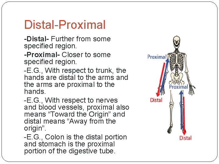 Distal-Proximal -Distal- Further from some specified region. -Proximal- Closer to some specified region. -E.