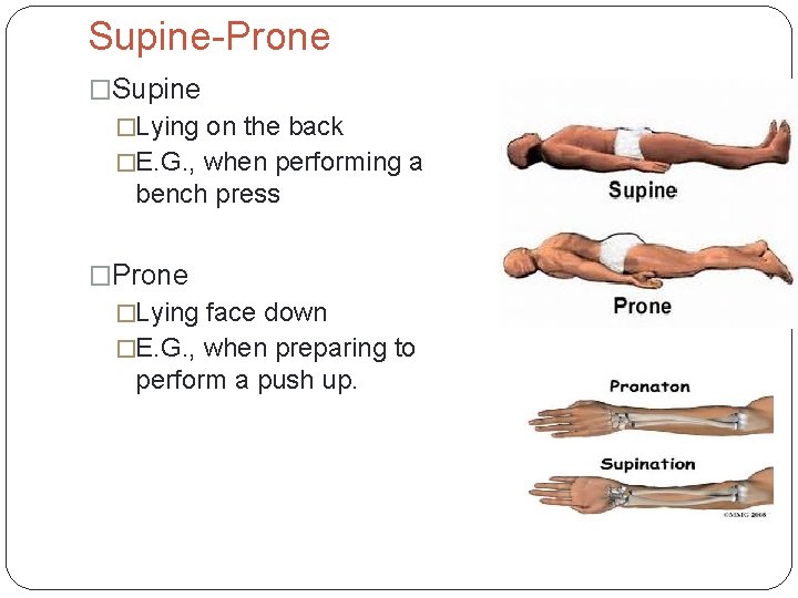 Supine-Prone �Supine �Lying on the back �E. G. , when performing a bench press