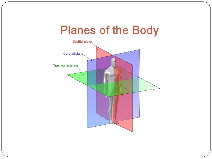 Planes of the Body 